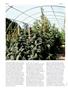 Page: - 64 | High Times