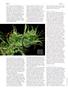 Page: - 66 | High Times