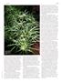 Page: - 71 | High Times