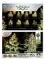 Page: - 87 | High Times