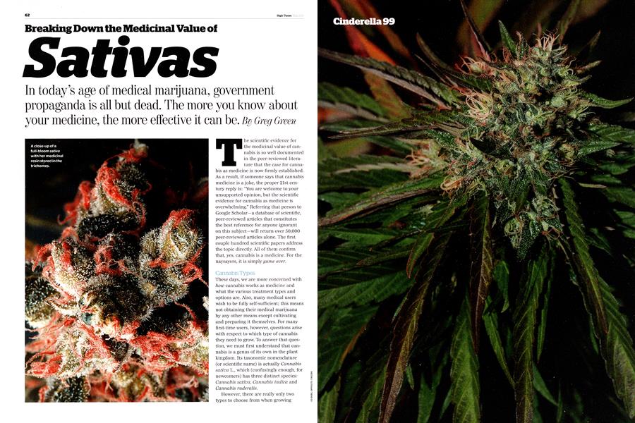Breaking Down the Medicinal Value of Sativas