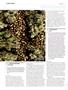 Page: - 100 | High Times