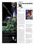 Page: - 106 | High Times