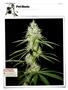 Page: - 120 | High Times