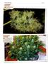 Page: - 122 | High Times