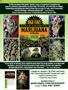 Page: - 129 | High Times
