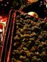 Page: - 15 | High Times
