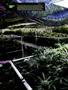 Page: - 16 | High Times