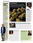 Page: - 24 | High Times