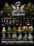 Page: - 3 | High Times