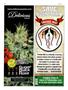 Page: - 44 | High Times