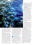 Page: - 51 | High Times