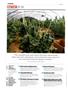 Page: - 6 | High Times