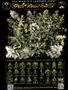 Page: - 65 | High Times