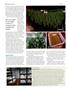 Page: - 66 | High Times