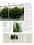 Page: - 72 | High Times