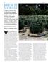 Page: - 74 | High Times
