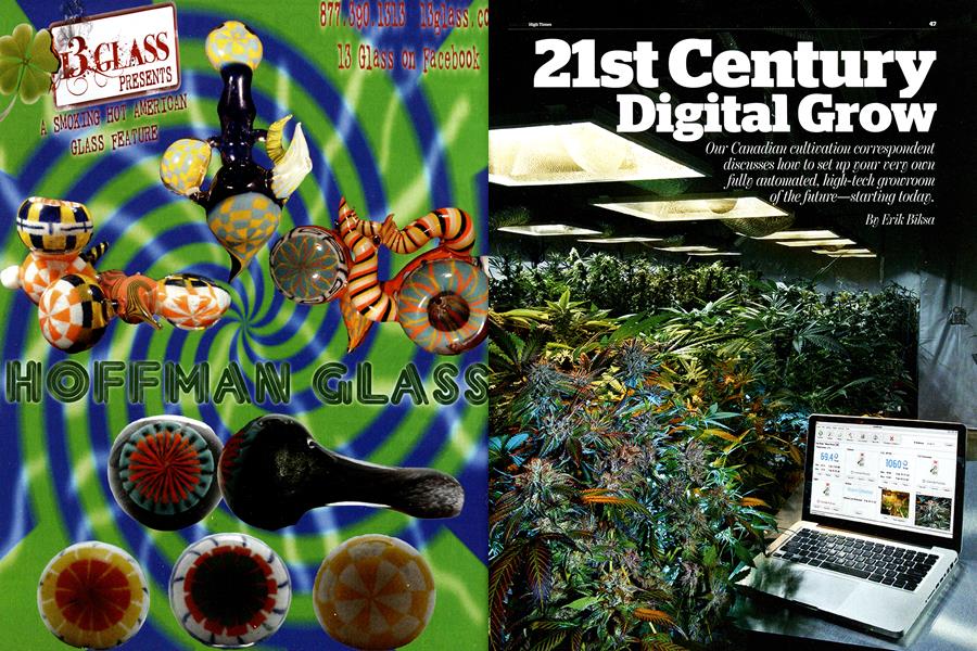 21st Century Digital Grow