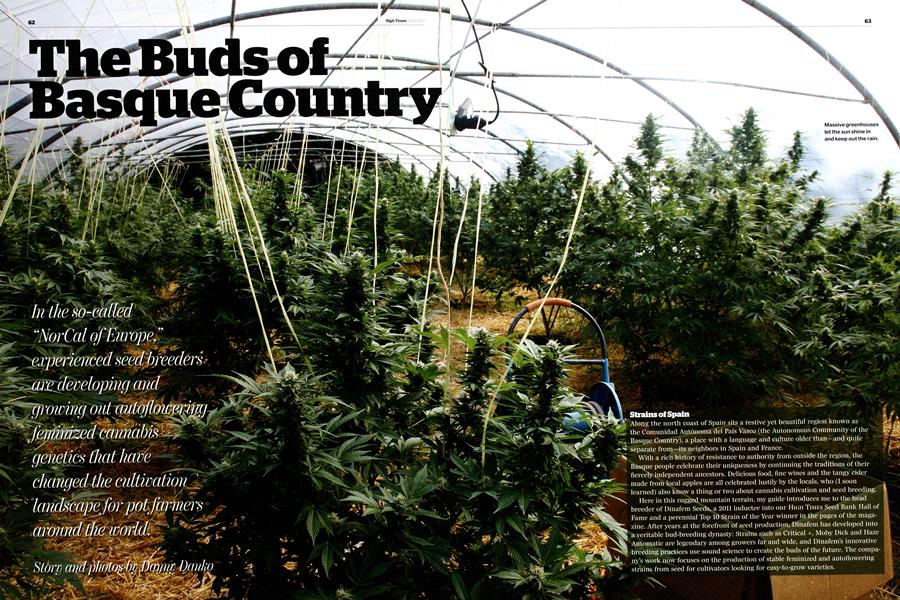 The Buds of Basque Country