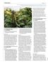 Page: - 100 | High Times