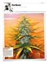 Page: - 120 | High Times