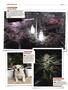 Page: - 124 | High Times