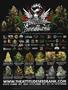 Page: - 3 | High Times