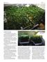 Page: - 48 | High Times
