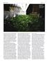 Page: - 50 | High Times