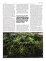 Page: - 51 | High Times