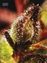 Page: - 61 | High Times