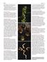 Page: - 66 | High Times