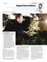 Page: - 99 | High Times