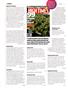 Page: - 10 | High Times