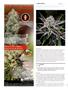 Page: - 104 | High Times