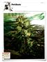 Page: - 120 | High Times