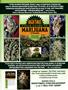Page: - 129 | High Times