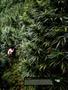 Page: - 15 | High Times