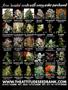 Page: - 2 | High Times