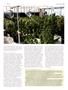 Page: - 49 | High Times