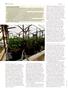 Page: - 50 | High Times