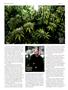Page: - 62 | High Times