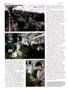 Page: - 66 | High Times