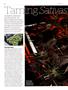 Page: - 72 | High Times