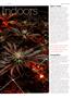 Page: - 73 | High Times