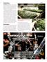 Page: - 76 | High Times