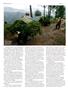 Page: - 80 | High Times