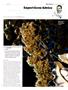 Page: - 99 | High Times