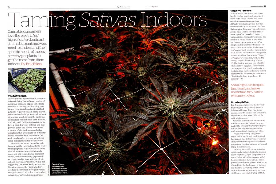 Taming Sativas Indoors