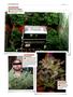 Page: - 124 | High Times
